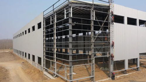 優質服務助推工業強鎮發展，招大引強積蓄新動能