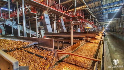 技術驅動創新，智慧賦能發展——云南煙葉復烤有限責任公司楚雄復烤廠2021烤季生產任務圓滿完成